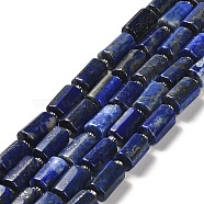 Natural Lapis Lazuli Beads Strands, with Seed Beads, Faceted, Column, 8.5~11x5.5~6.5mm, Hole: 1mm, about 14~15pcs/strand, 7.48''(19cm)0(G-N327-06-13)