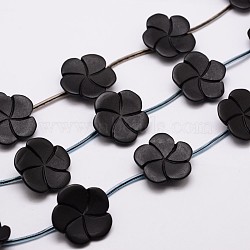 Natural Black Stone Bead Strands, Flower, 25x6mm, Hole: 1mm; about 10pcs/strand, 16.1 inches(G-P137-41)