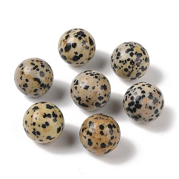 Natural Dalmatian Jasper No Hole Sphere Beads, Round, 16mm