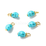 Dyed Synthetic Turquoise Charms, with Golden Tone Alloy & Iron Findings, Skull, Deep Sky Blue, 14.5x6.5x6mm, Hole: 2.7x2.2mm(PALLOY-JF01452-02)