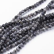 Natural Larvikite/Black Labradorite Beads Strands, Round, about 4mm, Hole: 0.8mm, about 91pcs/strand, 15.5 inch(GSR4mmC128)