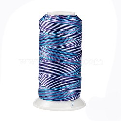 Segment Dyed Round Polyester Sewing Thread, for Hand & Machine Sewing, Tassel Embroidery, Royal Blue, 12-Ply, 0.8mm, about 300m/roll(OCOR-Z001-B-05)