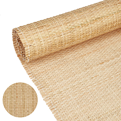 1 Roll Natural Rattan Placemats, Rolling Washable Heat-resistant Table Mat, Floor Rug, Navajo White, 400x2mm, 1m(AJEW-BC0007-32)