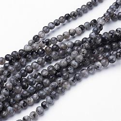 Natural Larvikite Beads Strands, Round, about 4mm, Hole: 0.8mm, about 91pcs/strand, 15.5 inch(GSR4mmC128)