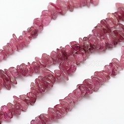 Chips Natural Tourmaline Beads Strands, Old Lace, 3~5x3~5x3~5mm, Hole: 1mm, about 16 inch(G-N0164-04B)