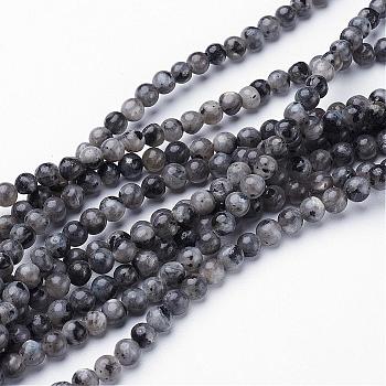 Natural Larvikite Beads Strands, Round, about 4mm, Hole: 0.8mm, about 91pcs/strand, 15.5 inch