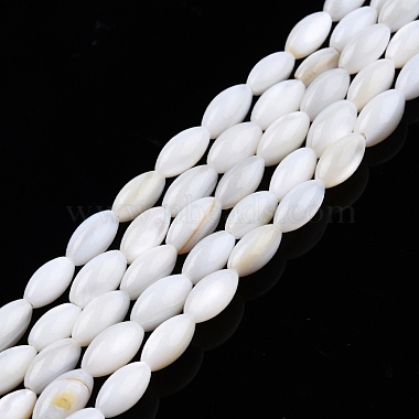 Eau douce naturelle de coquillage perles brins(SHEL-N026-212)-3
