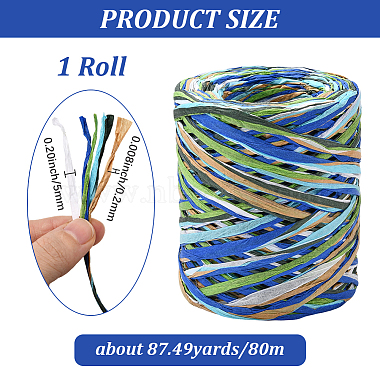 Segment Dyed Raffia Paper Cords for DIY Craft(OCOR-WH20020-27B)-2