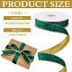 Polyester Ribbon(OCOR-WH0111-52D)-2