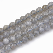 Natural Labradorite Beads Strands, Round, 5mm, Hole: 0.5mm, about 83pcs/strand, 15.5 inch(G-T064-70A)