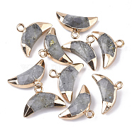 Electroplate Natural Labradorite Charms, with Iron Findings, Faceted, Moon, Golden, 12~13x18~19x5mm, Hole: 1.8mm(G-S344-48B)