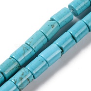 Natural Howlite Beads Strands, Dyed, Column, Dark Turquoise, 8x6.5mm, Hole: 1mm, about 49pcs/strand, 15.55''(39.5cm)(G-H025-01)