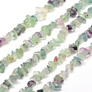 Natural Fluorite Chip Bead Strands, 5~8x5~8mm, Hole: 1mm, about 31.5 inch(G-M205-08)
