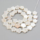 Electroplate Natural Freshwater Shell Beads Strands(SHEL-T017-08)-2
