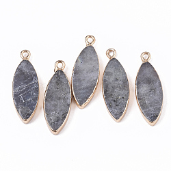 Edge Golden Plated Natural Labradorite Pendants, with Iron Loop, Horse Eye, 28.5~30.5x10.5x3.5mm, Hole: 1.6mm(G-T131-06B)