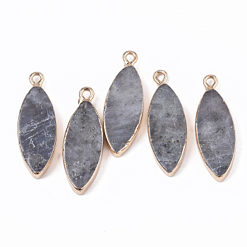 Edge Golden Plated Natural Labradorite Pendants, with Iron Loop, Horse Eye, 28.5~30.5x10.5x3.5mm, Hole: 1.6mm