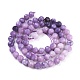 Natural Sugilite Beads Strands(G-R475-034)-2