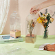 12個のプラスチックと紙の一輪の花の収納ボックス(CON-BC0007-98)-3
