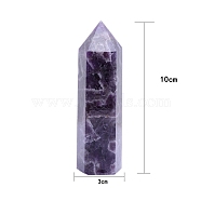 Point Tower Natural Amethyst Home Display Decoration, Healing Stone Wands, for Reiki Chakra Meditation Therapy Decos, Hexagon Prism, 100x30mm(PW-WG18358-04)