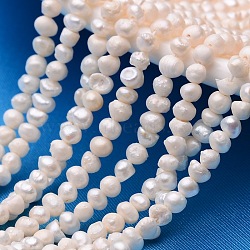 Potato Natural Cultured Freshwater Pearl Beads Strands, Beige, 3~4mm, Hole: 0.8mm, about 100pcs/strand, 13.3 inch~14.1 inch(PEAR-E007-3-4mm-02)