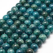 Natural Apatite Beads Strands, Round, 8mm, Hole: 1mm, about 48pcs/strand, 15.7 inch(40cm)(G-F475-06-8mm)