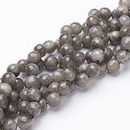 Natural Labradorite Beads Strands, Faceted, Round, 6mm, Hole: 0.8mm(G-D136-6mm-11)