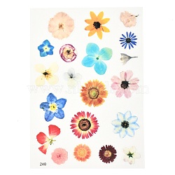 Waterproof Plastic Self Adhesive Stickers, Plant Pattern, Flower Pattern, 15x10.5x0.01cm(DIY-F064-13E)