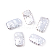 Baroque Natural Keshi Pearl Beads, Freshwater Pearl, No Hole/Undrilled, Rectangle, Seashell Color, 16~17x9~10x4~5mm(PEAR-N020-D04)