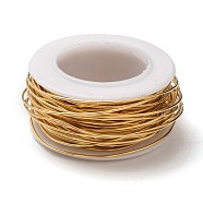 304 Stainless Steel Wire, Golden, 21 Gauge, 0.7mm, about 32.8 Feet(10m)/roll(STAS-T004-09)