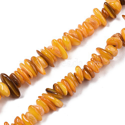 Natural Freshwater Shell Beads Strands, Dyed, Chips, Orange, 0.4~4x6.5~20x4.5~8.5mm, Hole: 0.7~0.8mm, about 301~340pcs/strand, 30.94 inch~32.36 inch(78.6cm~82.2cm)(SHEL-S278-071C)