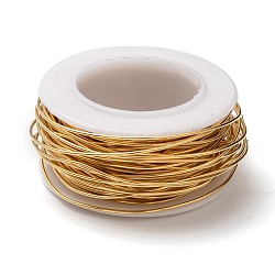 304 Stainless Steel Wire, Golden, 21 Gauge, 0.7mm, about 32.8 Feet(10m)/roll(STAS-T004-09)