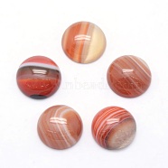 Natural Banded Agate Cabochons, Half Round, 12x5~6mm(G-P393-R40-12mm)