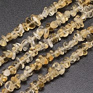 Chips Natural Citrine Beads Strands, 3~8x3~12x3~5mm, Hole: 1mm, about 32 inch(X-G-N0164-58)