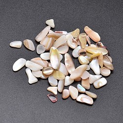 Shell Nuggets Cabochons, Bisque, 6~15x3~7mm, about 295pcs/50g(X-BSHE-O007-51)