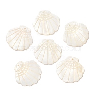 Natural Freshwater Shell Pendants, Shell Shaped Charms, Seashell Color, 28.5x29.5x2mm, Hole: 1.6mm(SHEL-F007-20)