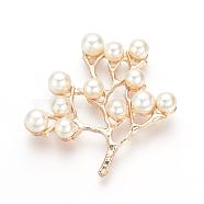 Alloy Cabochons, with ABS Plastic Imitation Pearl Beads, Trees, Golden, 44x44x6mm(PALLOY-S065-01)