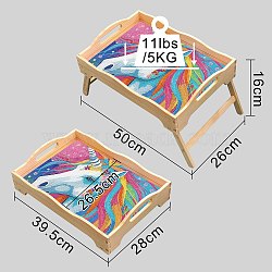 DIY Diamond Painting Dish Plate Decoration Kits, Including Resin Rhinestones, Pen, Tray & Glue Clay, Colorful, 500x260x160mm(PW-WG37180-01)