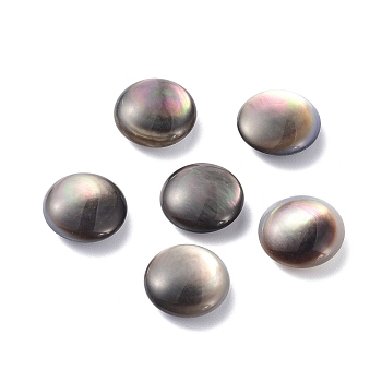 Natural Black Lip Shell Beads, Oval, 12x4.5mm