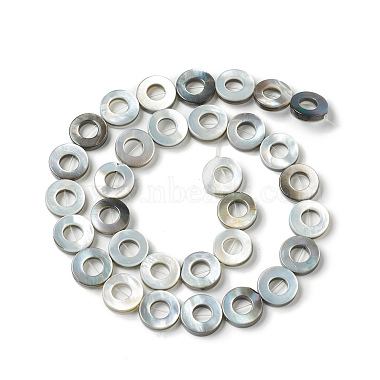 Natural Black Lip Shell Beads Strands(SHEL-F004-15)-2