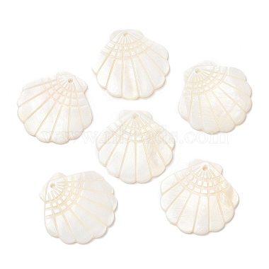 Seashell Color Shell Shape Freshwater Shell Pendants