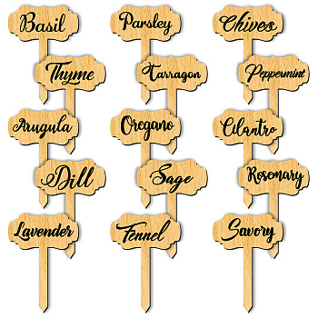 Wood Plant Labels, for Seed Potting, Herbs, Flowers, Vegetables, Name, Word, 70x50x3mm, 15pcs/set