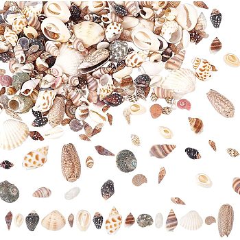 Nbeads 15 Styles Natural Shell Display Decorations, for DIY Craft, Jewelry Making, Home/Party Decoration, Mixed Color, 1~35x1~35x0.5~20mm