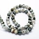 Natural Tree Agate Beads Strands(X-G-I199-03-6mm)-2