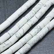 Natural Howlite Beads Strands, Column, 15~17x7.5~8mm, Hole: 1.2mm, about 24~25pcs/strand, 14.7~15.5 inch(37.5~39.5cm)(G-F631-F03)