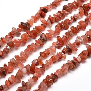 Natural South Red Agate Chip Bead Strands, 5~8x5~8mm, Hole: 1mm, about 31.5 inch(X-G-M205-49)