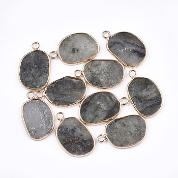 Natural Labradorite Pendants, with Brass Findings, Golden, 25x15.5x2mm, Hole: 2mm