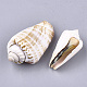 Natural Spiral Shell Red Lip Shell Beads(SSHEL-S258-47)-2