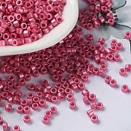 Baking Paint Glass Seed Beads, Cylinder, Cerise, 2.5x2mm, Hole: 1.4mm, about 5039pcs/50g(X-SEED-S042-15A-05)