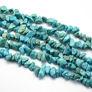 Synthetic Turquoise Beads Strands, Chips, Dyed, 5~8x5~8mm, Hole: 1mm, about 31.5 inch(G-O049-B-43)