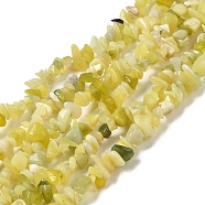 Natural Lemon Jade Chip Bead Strands, 5~8x5~8mm, Hole: 1mm, about 31.5 inch(G-M205-22)